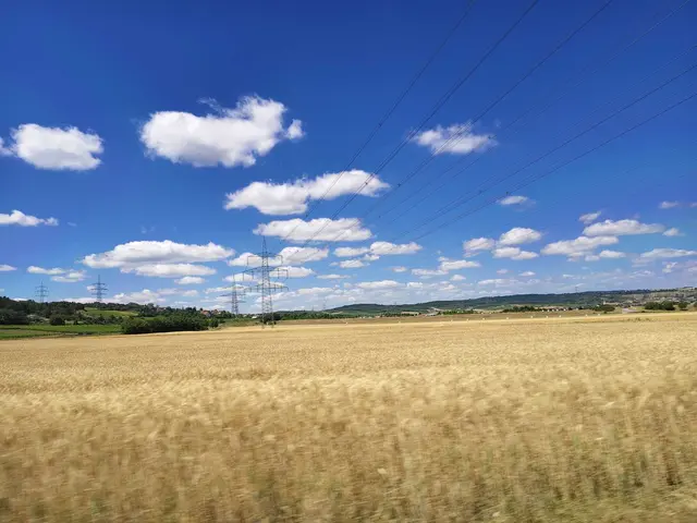 Oder man genießt eine Fahrradfahrt durch die Region. | Foto: Rebekka Sadiki-Peckary
