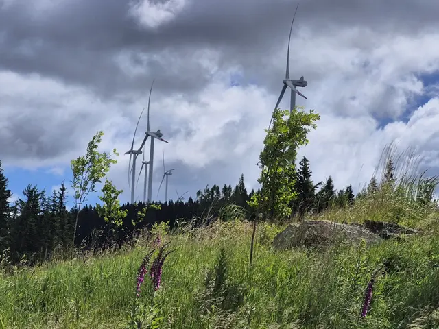 In die Natur eingebunden