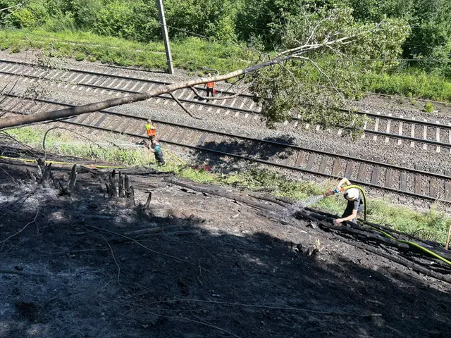 Ein Baum fiel auf die Oberleitung und die Böschung fing Flammen. | Foto: FF Neumarkt