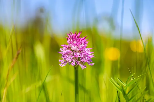 Bis 27. Juli 2025 können Interessierte für ihr persönliches Lieblingsfoto abstimmen. | Foto: BPWW/N. Novak