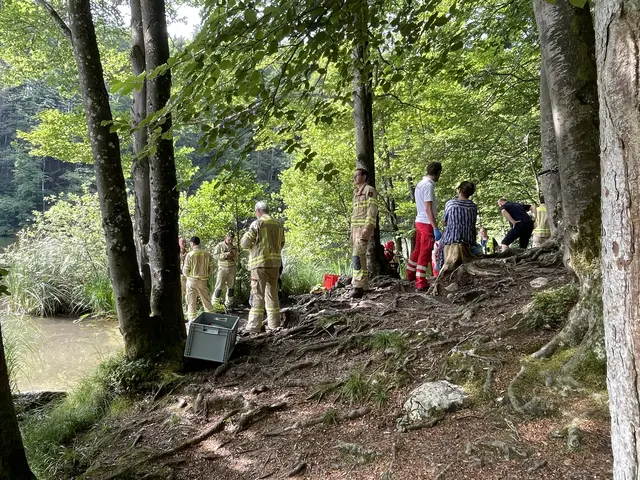 Insgesamt waren über 40 Einsatzkräfte vor Ort. | Foto: ZOOM.Tirol