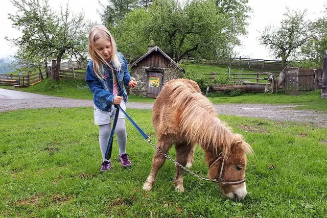 Besonders für Kinder ist das Landleben auf einem Bergbauernhof, wie dem Biohof Maurachgut, besonders spannend, da es vieles zu entdecken gibt.  | Foto: Biohof Maurachgut