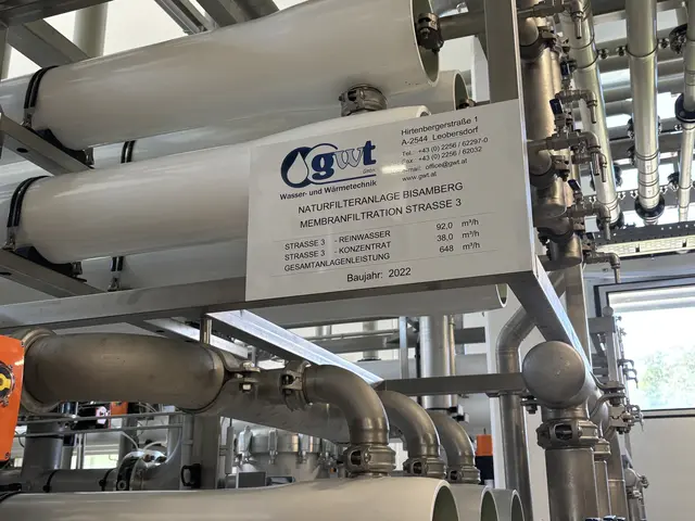 Foto: Madeleine Gluhak/MeinBezirk