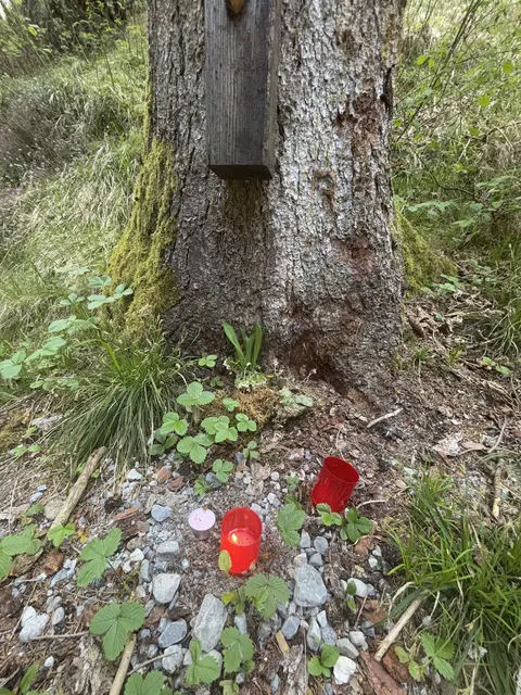 Manche Spaziergänger fragen sich: Hat hier jemand sein Haustier vergraben?  | Foto: Perktold