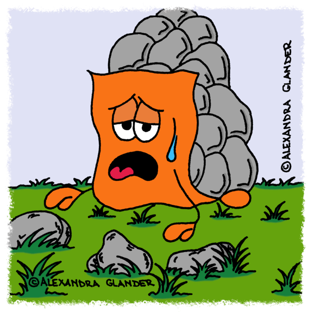 Foto: Alexandra Glander