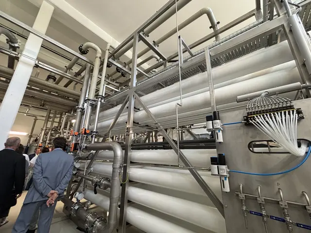 Bei der Besichtigung der Naturfilteranlage in Bisamberg | Foto: Madeleine Gluhak/MeinBezirk