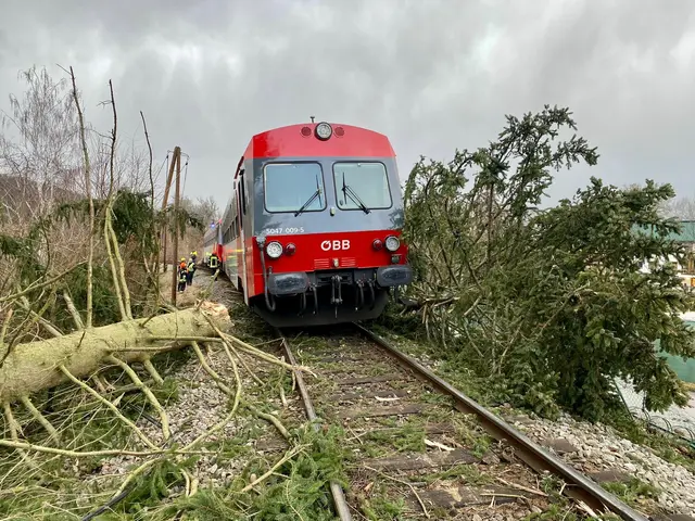 Ein Zug ist auf der Kamptalbahn zwischen Breiteneich und Rodingersdorf entgleist. | Foto: Abschnittsfeuerwehrkommando Gars