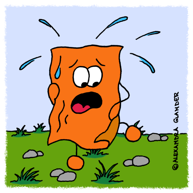 Foto: Alexandra Glander