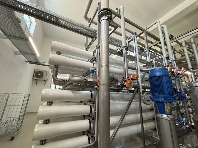 Foto: Madeleine Gluhak/MeinBezirk