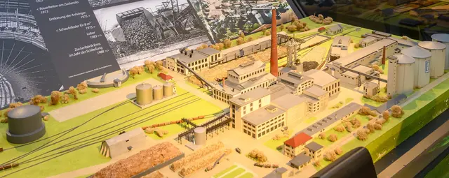 Bei einer Rätselrallye im Museum 1212 Enns am Sonntag, 13. Juli 2025, erkunden Familien gemeinsam die Geschichte der Stadt Enns!  | Foto: TSE GmbH