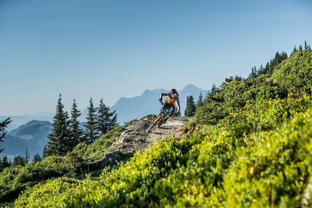 "Mountainbiken wird immer populärer und das ist mit Sicherheit ein Trend, der auch in Zukunft weiter nach oben schnellen wird", so Wolfgang Breitfuß, Direktor des Tourismusverbandes Saalbach Hinterglemm. | Foto: saalbach.com, Hansi Heckmair