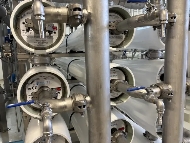 Foto: Madeleine Gluhak/MeinBezirk