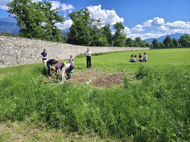Aus einer grünen Wiese entsteht ein bunter und vielfältiger Schulgarten. | Foto: Meinhardinum Stams