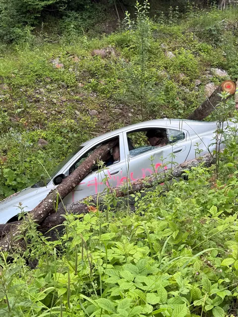 Eingeklemmte Personen wurden aus Autos gerettet. | Foto: ZOOM.Tirol