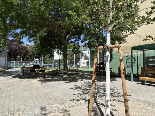 Die neuen Bäume wurden mit Kalk beschlagen, um sie vor der Sonne zu schützen. | Foto: Michael Marbacher/MeinBezirk