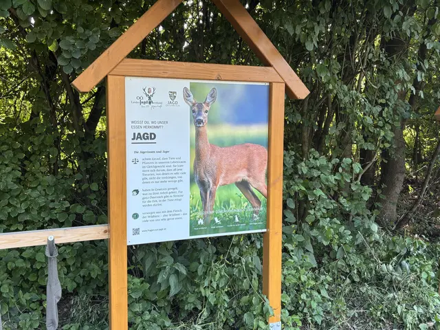 Foto: Jagdverband