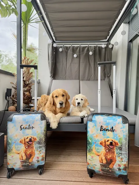 Mit Hund und Welpe auf Reisen, wie geht das? Julia Radl von santos_goldenmoments erklärt´s.  | Foto: santos_goldenmoments