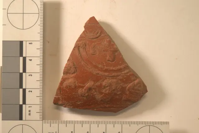 Terra sigillata aus Rheinzabern (Deutschland), gefunden in Flavia Solva | Foto: UMJ, Johanna Kraschitzer