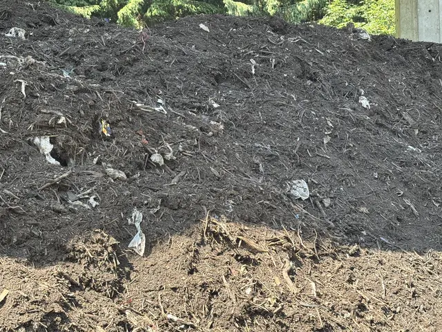Kompostberge mit Plastikresten türmen sich im Trofaiacher Abfallzentrum. | Foto: MeinBezirk