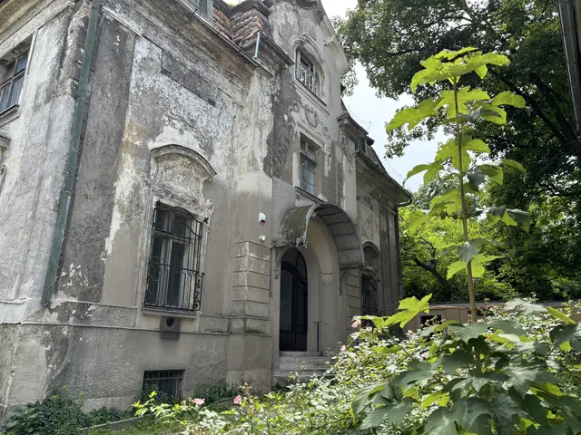 Das Landstraßer Juwel, die Villa Mautner-Jäger sucht wieder einen neuen Eigentümer – unter anderem auf Willhaben. | Foto: Luca Arztmann/MeinBezirk