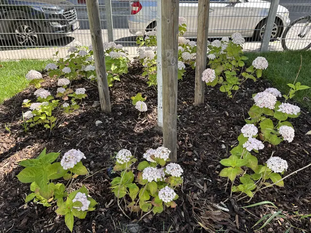 Foto: Michael Marbacher/MeinBezirk