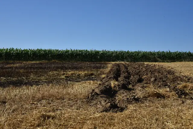 Foto: Alois Braid / zema.medien.de