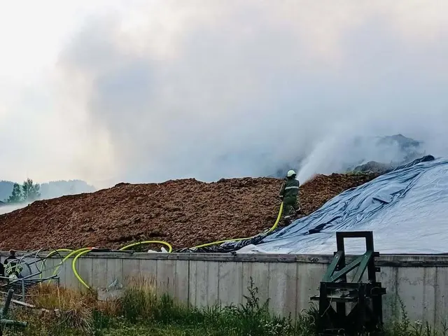 Der Brand sei vermutlich durch Selbstentzündung von Biomasse entstanden. | Foto: Freiwillige Feuerwehr Thalsdorf