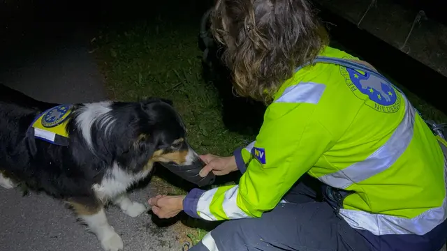 Suchhunde waren im Einsatz. | Foto: Doku NÖ