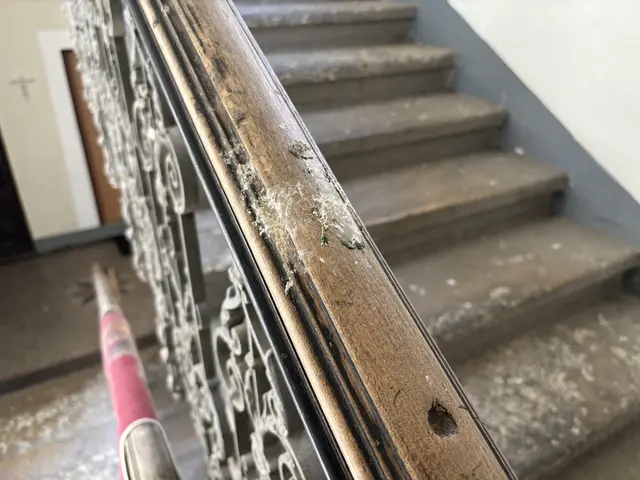 Foto: Luca Arztmann/MeinBezirk