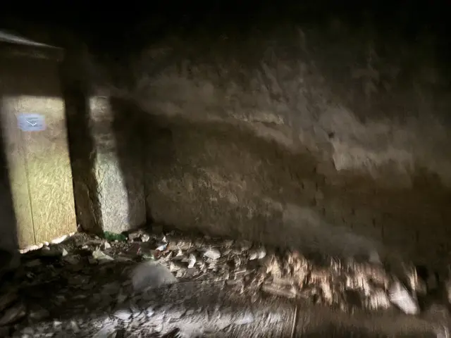 Foto: Luca Arztmann/MeinBezirk