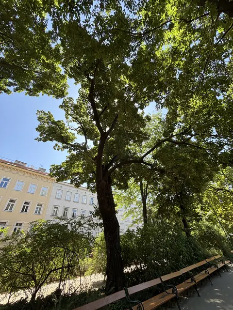 Foto: Scheiber/MeinBezirk