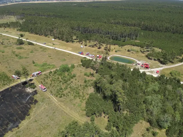 Foto: www.einsatzdoku.at