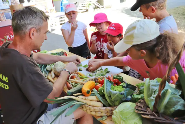 40 Arten Gemüse werden am Genussbauernhof Hillebrand angebaut, einige davon durften die Kinder bei Markus Hillebrand verkosten.  | Foto: Edith Ertl