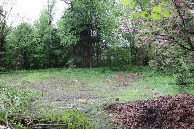 Hier soll bald der neue Waldkindergarten in Wörgl entstehen. | Foto: Nimpf