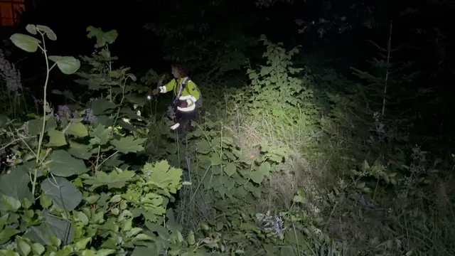 Die Einsatzkräfte waren auf der Suche. | Foto: Doku NÖ