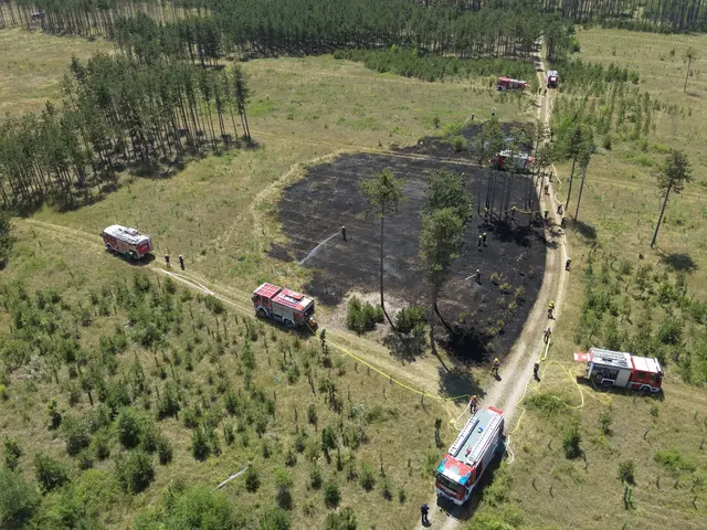 Blick auf die Brandfläche von oben. | Foto: www.einsatzdoku.at