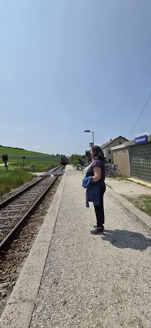Foto: Grüne Bezirk Ried