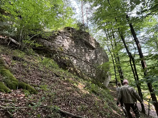 Mauerfuß im Südwesten, hier befand sich früher der Eingang. | Foto: MeinBezirk Perg/Köck