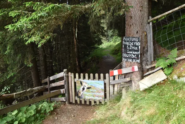 Der Eingang zur Stalsins Alm in Tulfes. | Foto: Kendlbacher