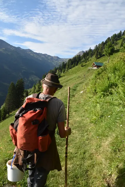 David Oberleiter mit seinem Hirtenstock auf dem Weg zur Stalsins Alm in Tulfes. | Foto: Kendlbacher