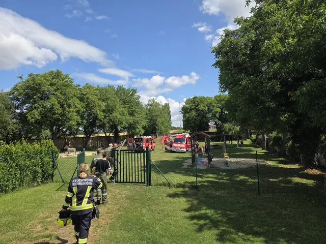 Zum Abschluss durften die Kinder die Einsatzfahrzeuge bestaunen und Fragen stellen – ein spannender Tag für Groß und Klein. | Foto: Michael Babits