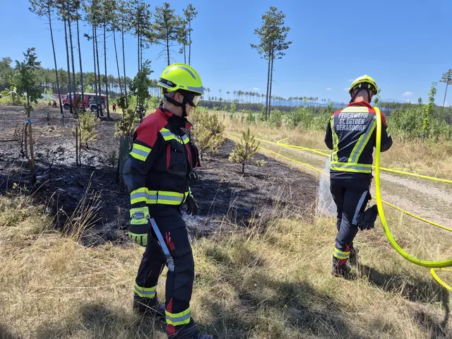 Die Wehren behielten die Nerven. | Foto: www.einsatzdoku.at