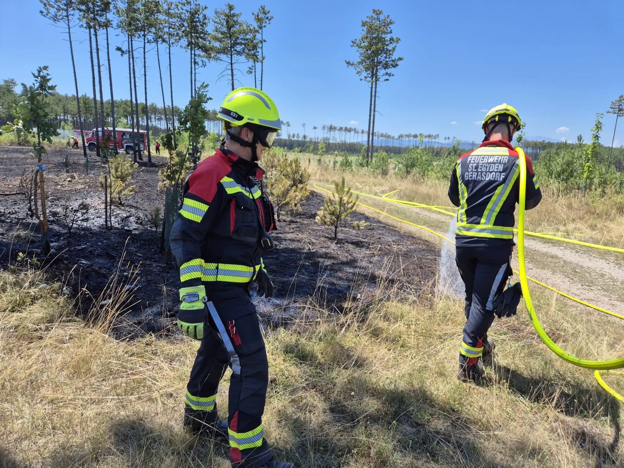 Operation in the Neunkirchen district: The pine forest was once again on ...
