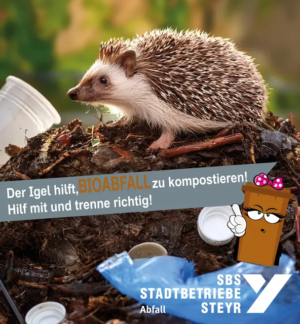 Wer eine Bioabfalltonne haben möchte, kann sich bei den SBS Steyr anmelden. | Foto: SBS