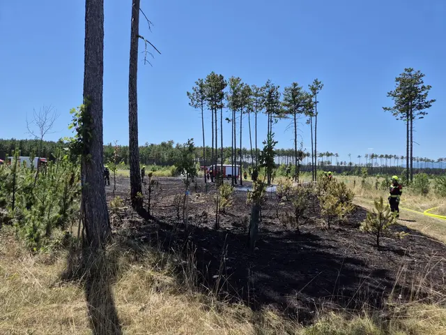 Foto: www.einsatzdoku.at