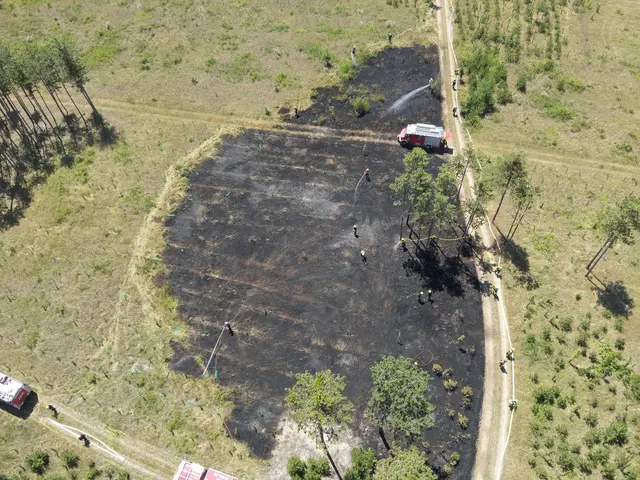 Foto: www.einsatzdoku.at