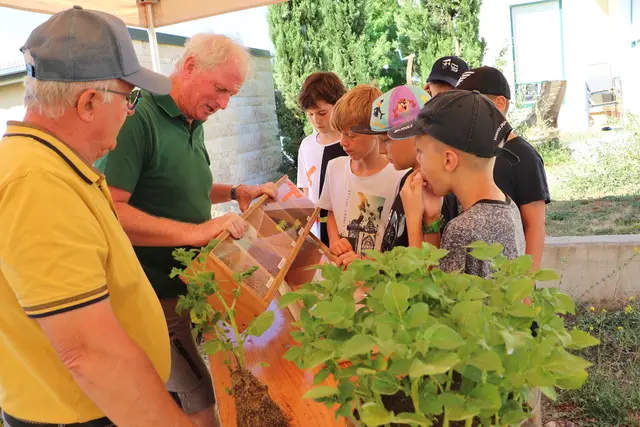 Herbert Buchgraber von der HBLFA Raumberg-Gumpenstein erklärte den Kindern die Samen von Buchweizen bis Senf.  | Foto: Edith Ertl