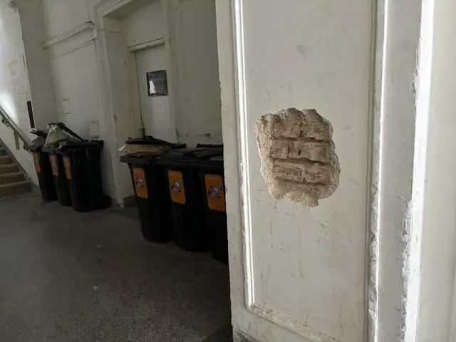 Foto: Luca Arztmann/MeinBezirk