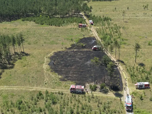 Foto: www.einsatzdoku.at