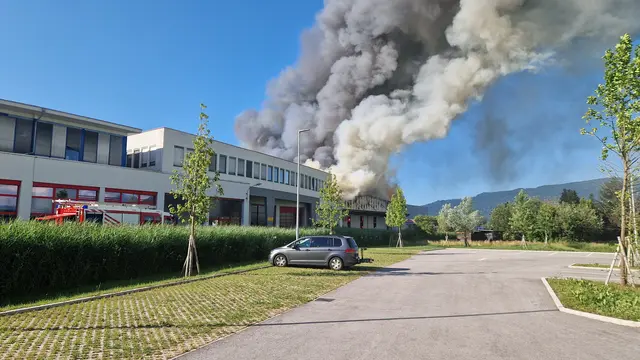 Am frühen Abend, des 01. Juli 2025, wurde die Freiwillige Feuerwehr der Stadt Hallein zu einem Brandmeldealarm in einem Gewerbebetrieb im Stadtteil Taxach alarmiert.  | Foto: LFV Salzburg/Rupert Unterwurzacher